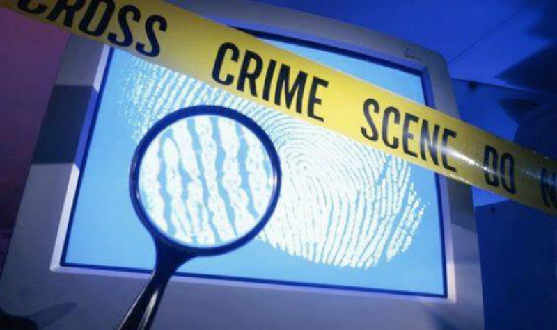 internet crime