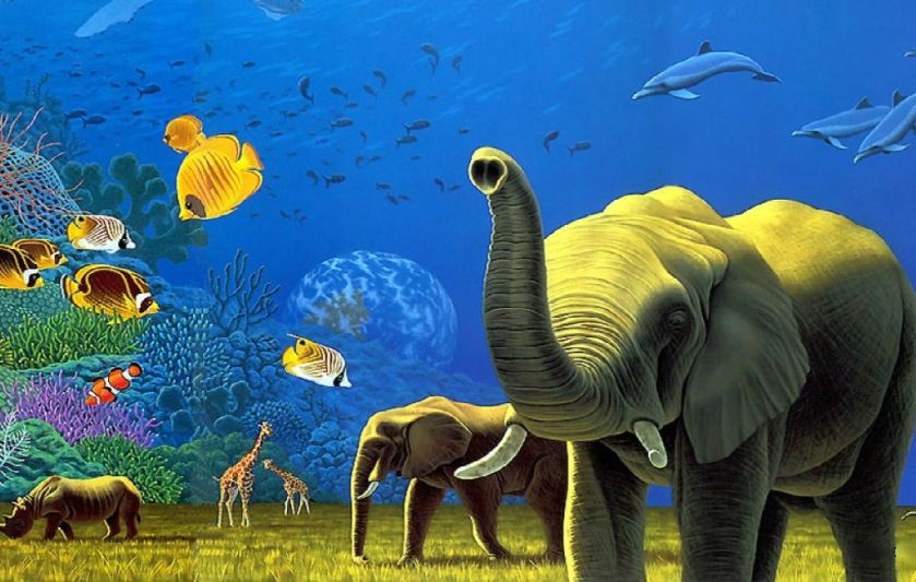 Animal_Kingdom_Wallpaper_mgoby